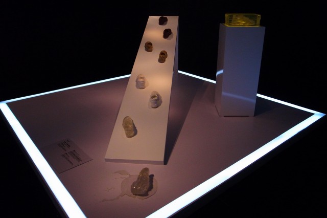exhibition display 